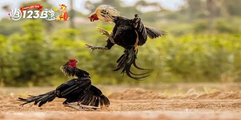 Phòng Ngừa Nhiễm Trùng Và Bổ Sung Thuốc