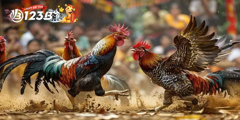 Nguyên Tắc Và Đặc Trưng Của MônĐá gà tre